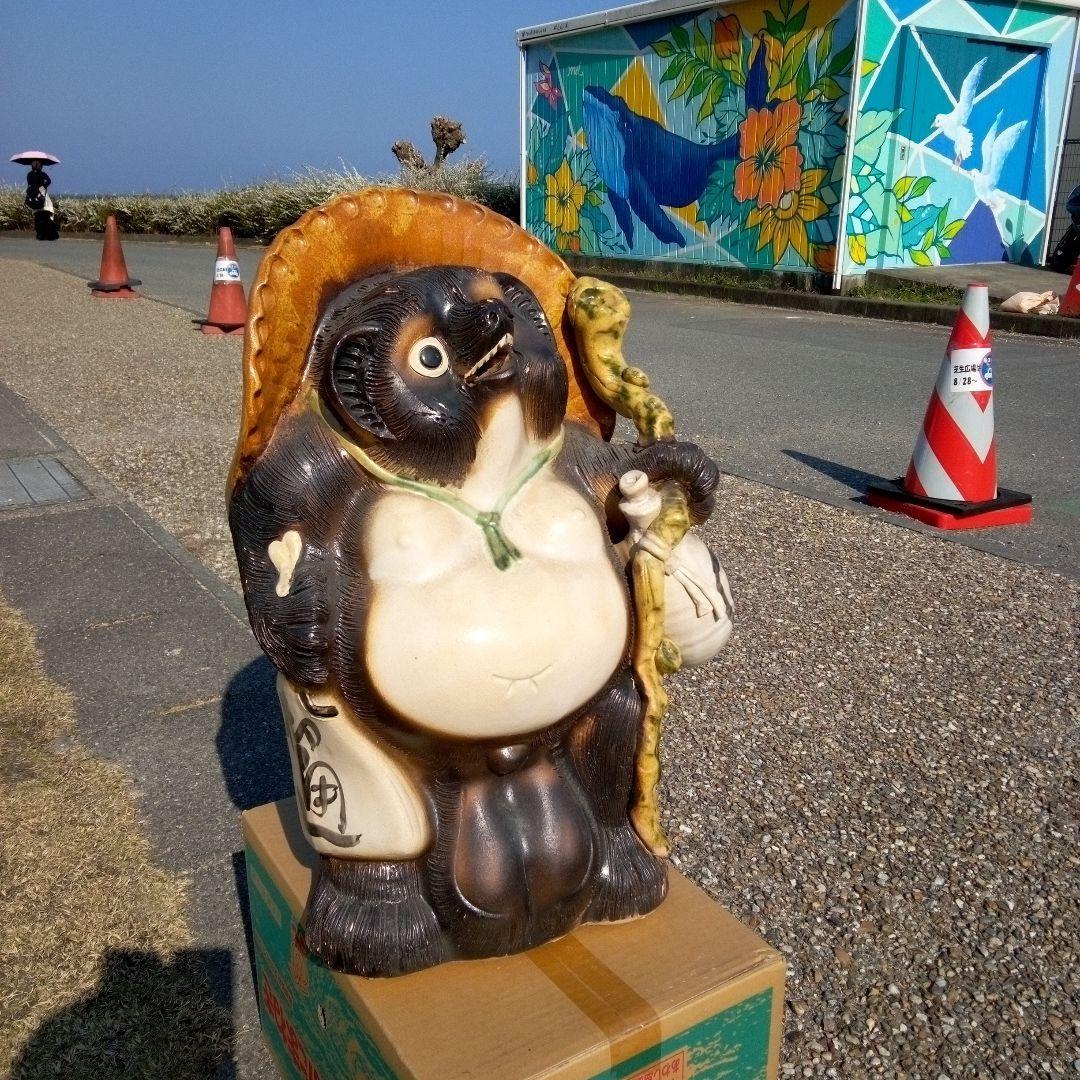 狸大型