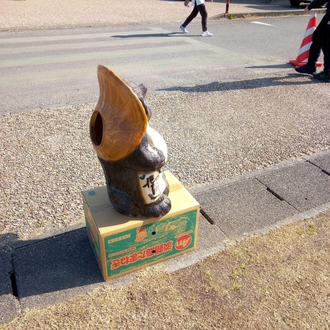 狸大型
