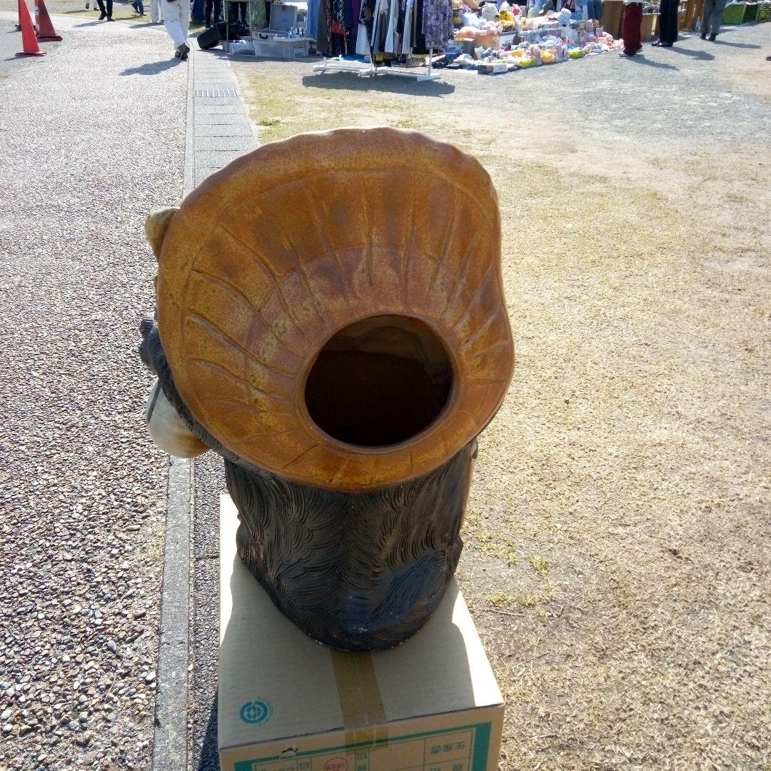 狸大型