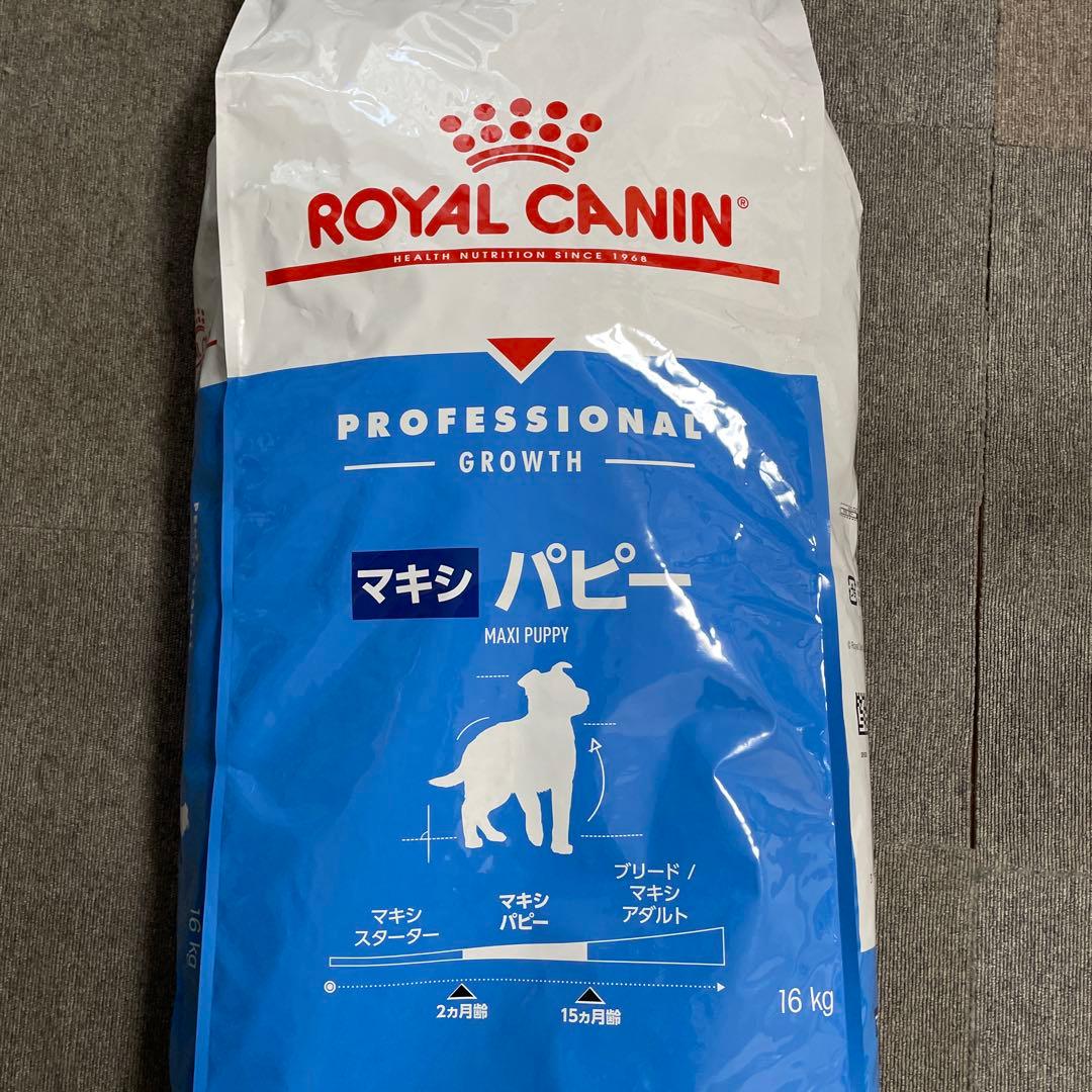  CANIN マキシ パピー 16kg