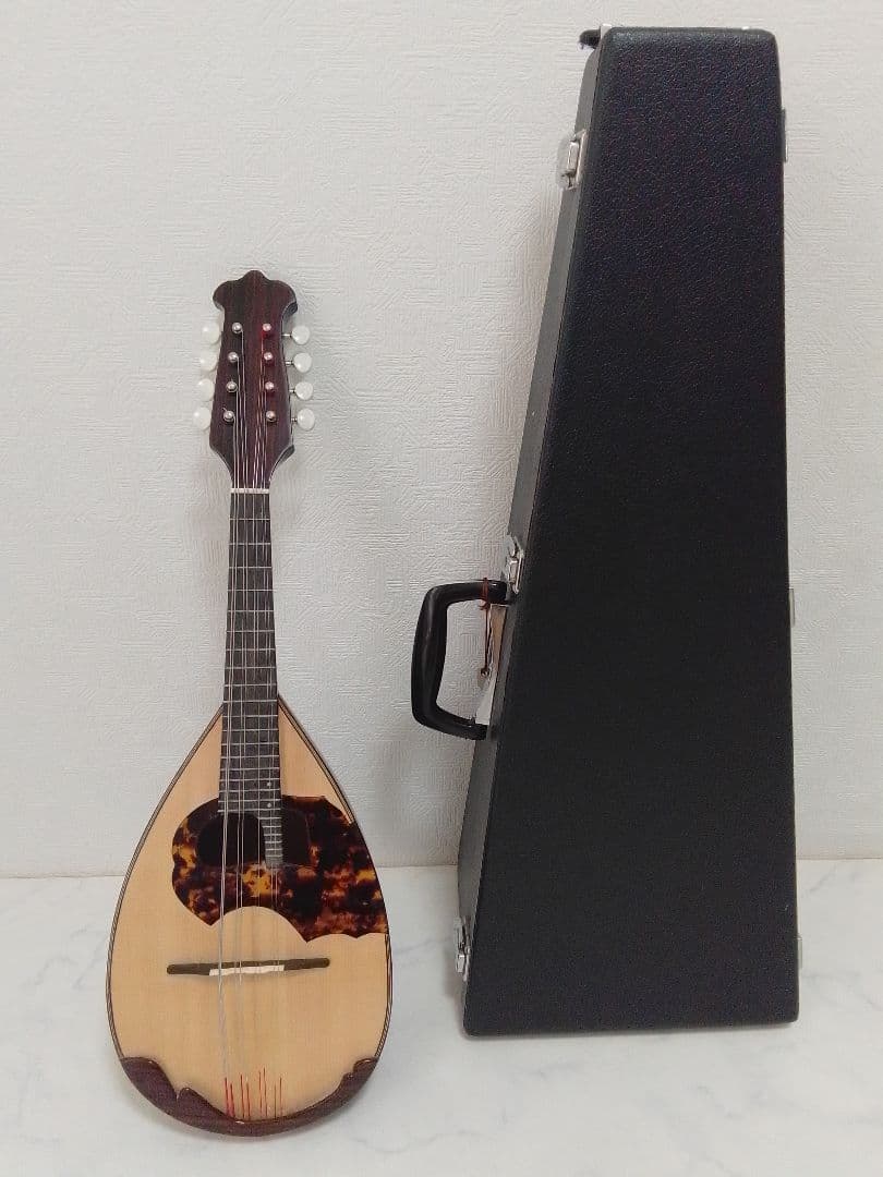 マンドリン 渡辺精次 No.70 Anno1995 Watanabe ケース付