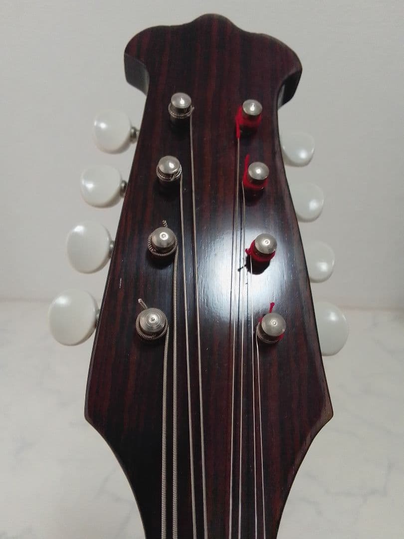 マンドリン 渡辺精次 No.70 Anno1995 Watanabe ケース付