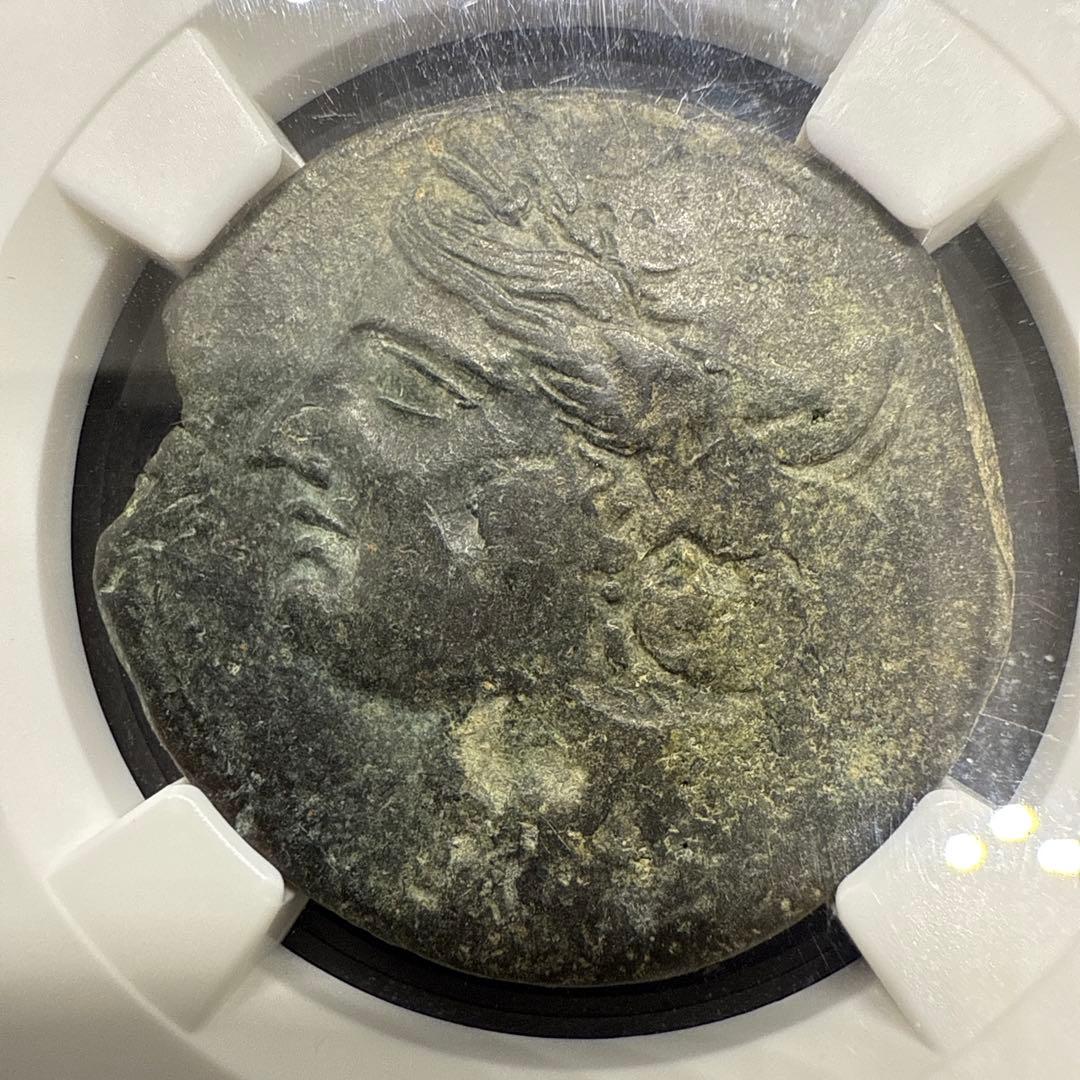 【希少】カルタゴ ゼウリガタナ NGC鑑定済み 古代