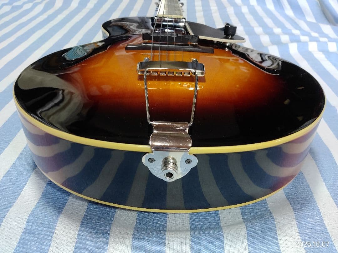 The Loarのハードケース付き1ハムフルアコLH-650vs使用感少な目美品