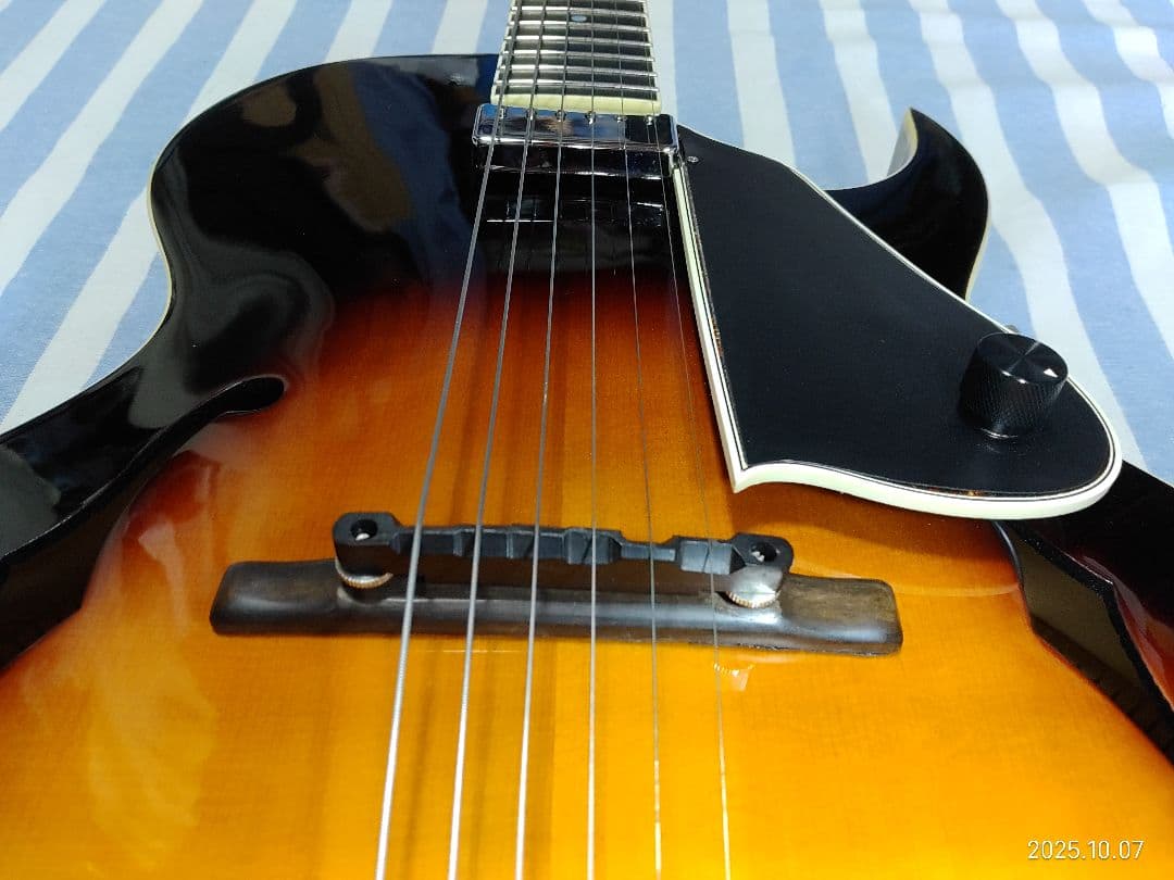 The Loarのハードケース付き1ハムフルアコLH-650vs使用感少な目美品