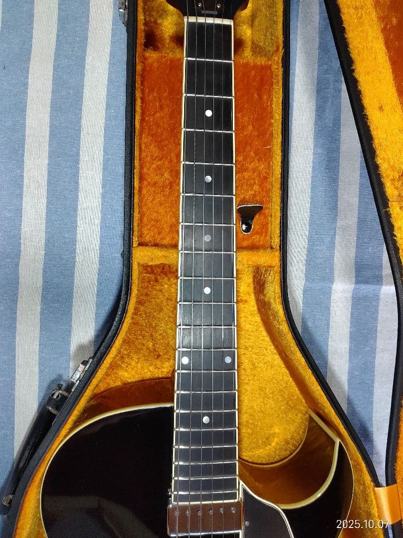 The Loarのハードケース付き1ハムフルアコLH-650vs使用感少な目美品