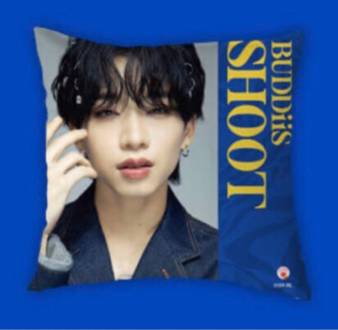 ★BUDDiiS★限定 オリジナルコラボグッズ クッション 全9種コンプセット