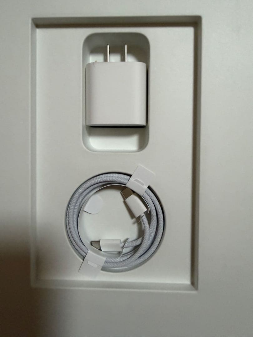 iPad Pro 13インチ M4 256GB シルバー Wi-Fi