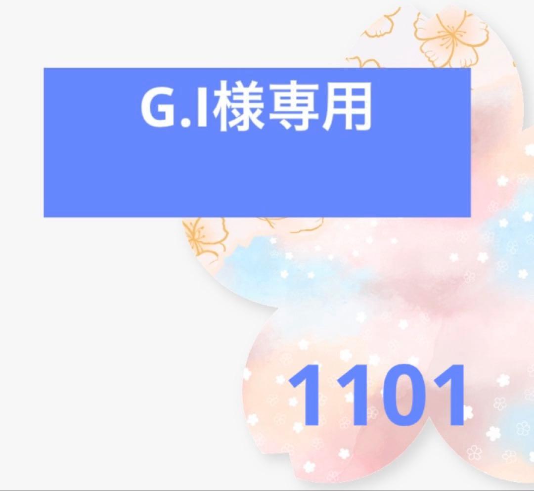 G.Iページ（手配済み）即発送⭕️