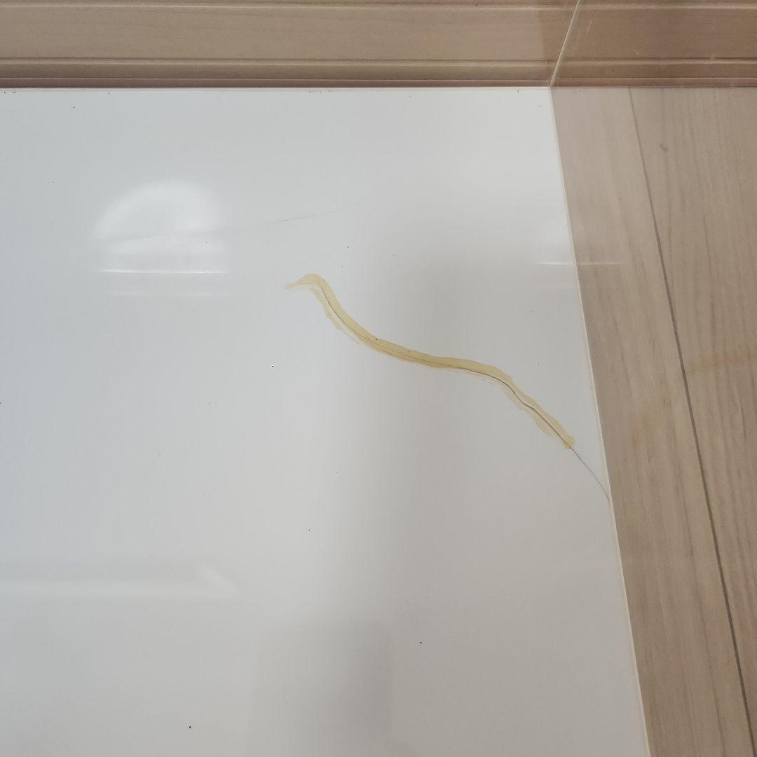 REPTI WILD レプタイルボックス2個 ワイド1個セット　おまけ付き