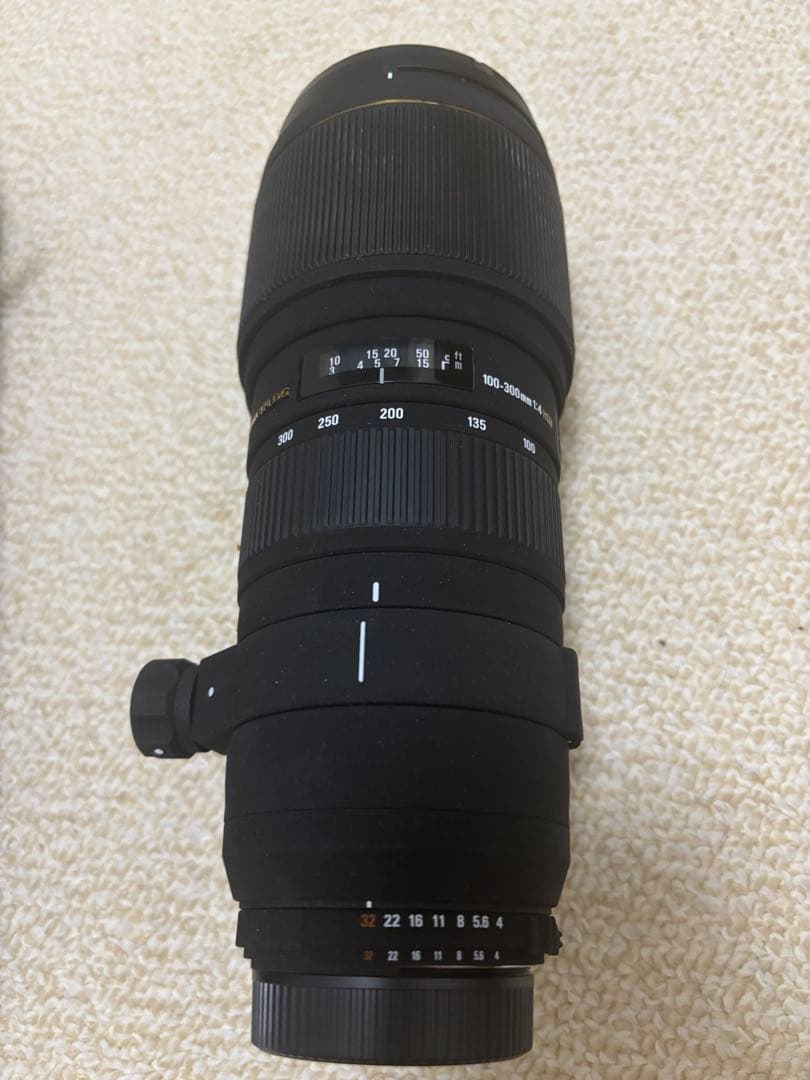 レンズ(ズーム) Nikon APO 100-300mm F4 EX DG HSM