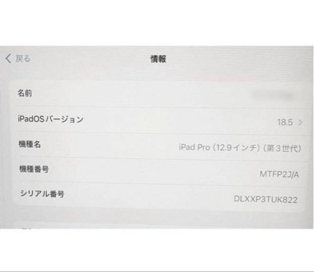 iPad pro 12.9インチ512GB
