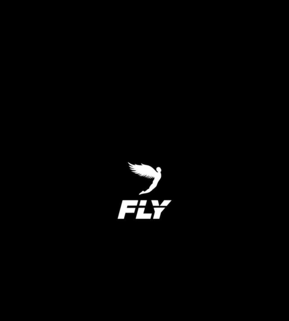 ＦＬＹボクシングヘッドギア　新品未使用