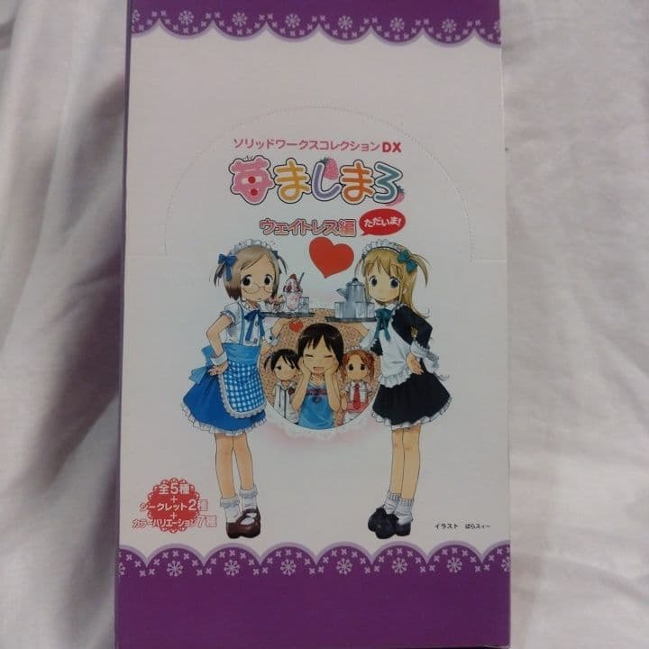 苺ましまろ ウェイトレス編 ただいま！ ソリッドワークスコレクションBOX