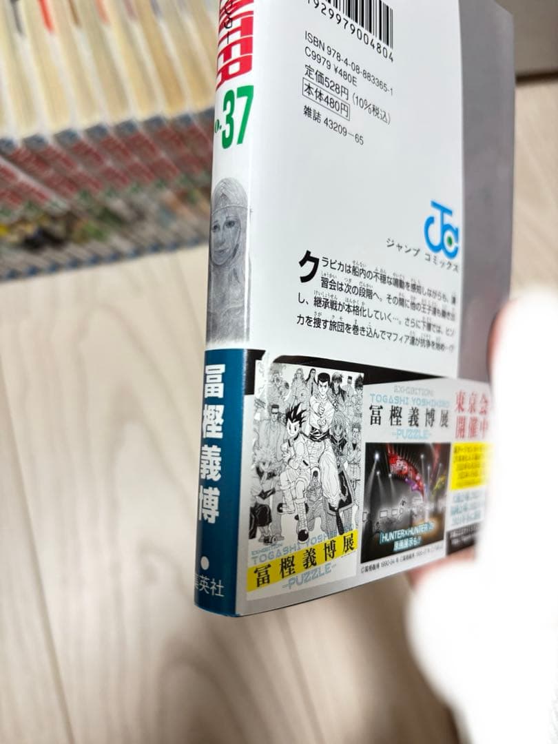 HUNTERHUNTER 漫画