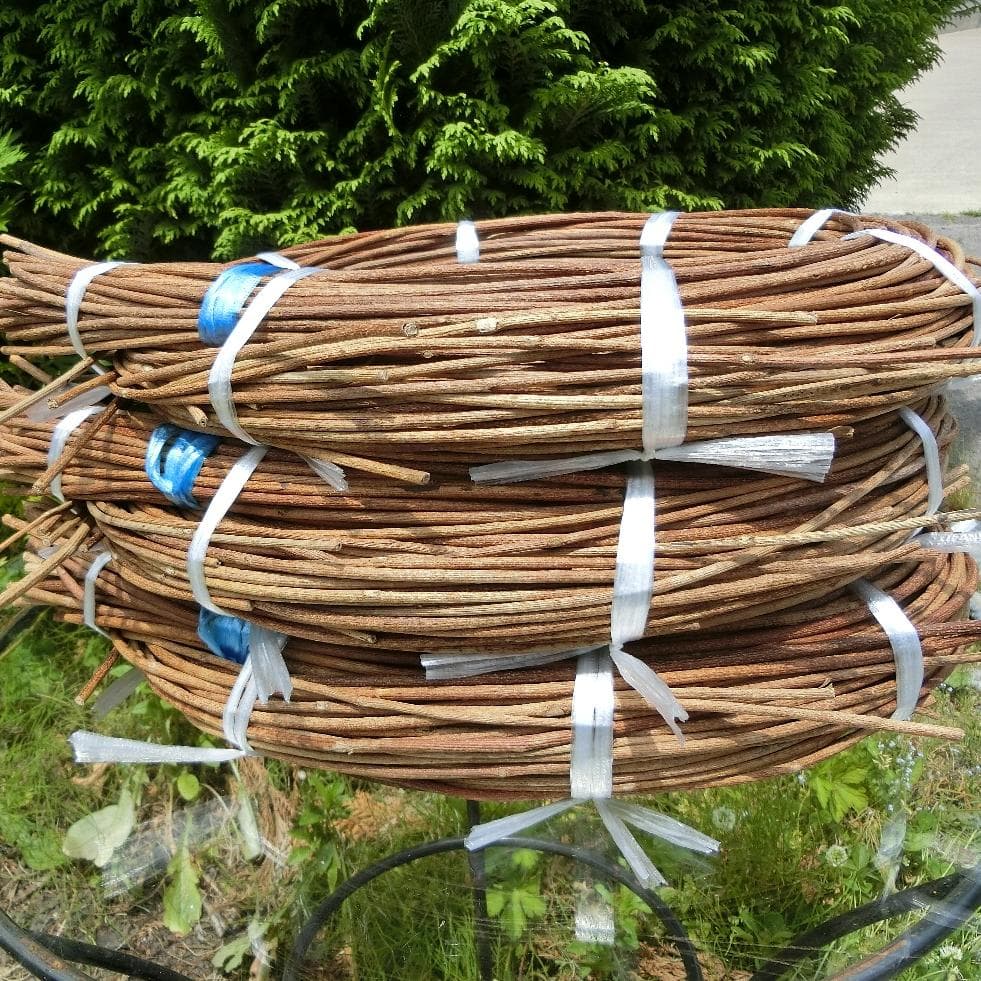 なつ（╹◡╹）♡ 青森県岩木山採取　あけび蔓　150cm～　3kg　太い蔓