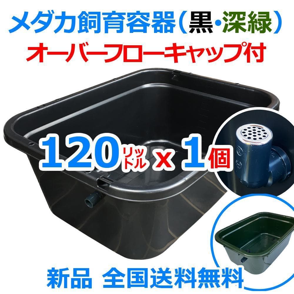 メダカ飼育ケース 120㍑x1個 黒・濃緑あり オーバーフロー 金魚 ビオトープ