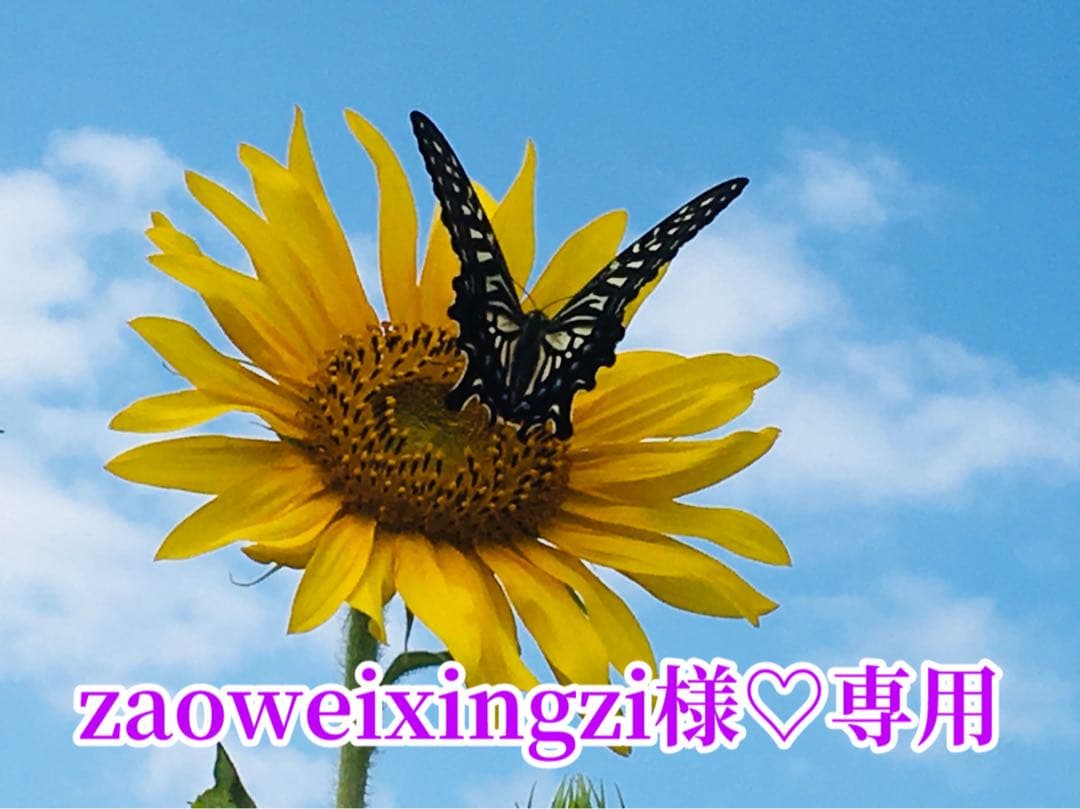 zaoweixingzi様❤️おまとめ専用ページです。1/15まで♡