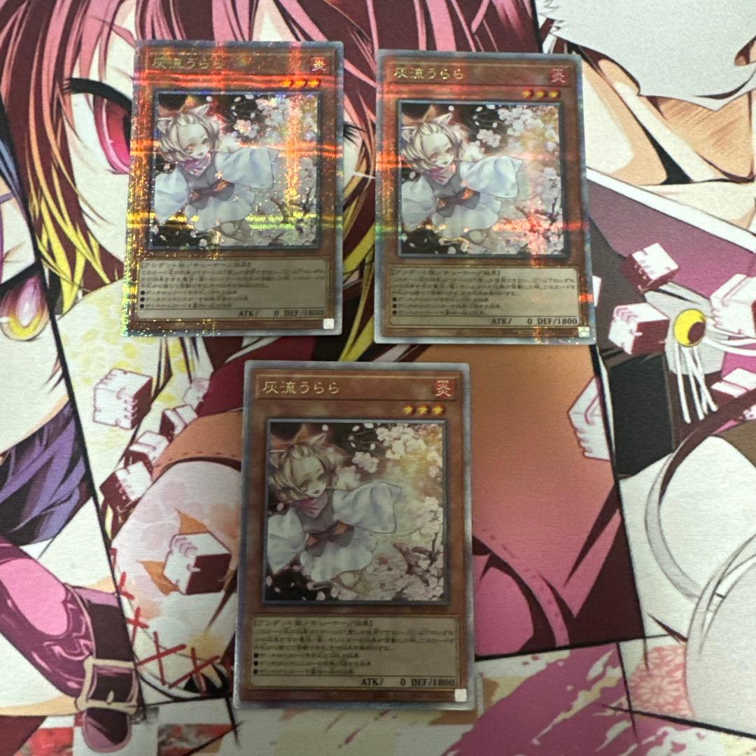遊戯王 灰流うらら 25thシークレット 3枚セット