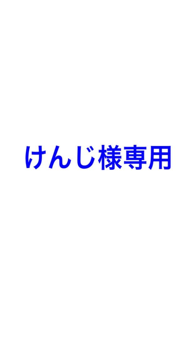 リモワ　RIMOWA サルサデラックス　2輪　32L 機内持込　グレー