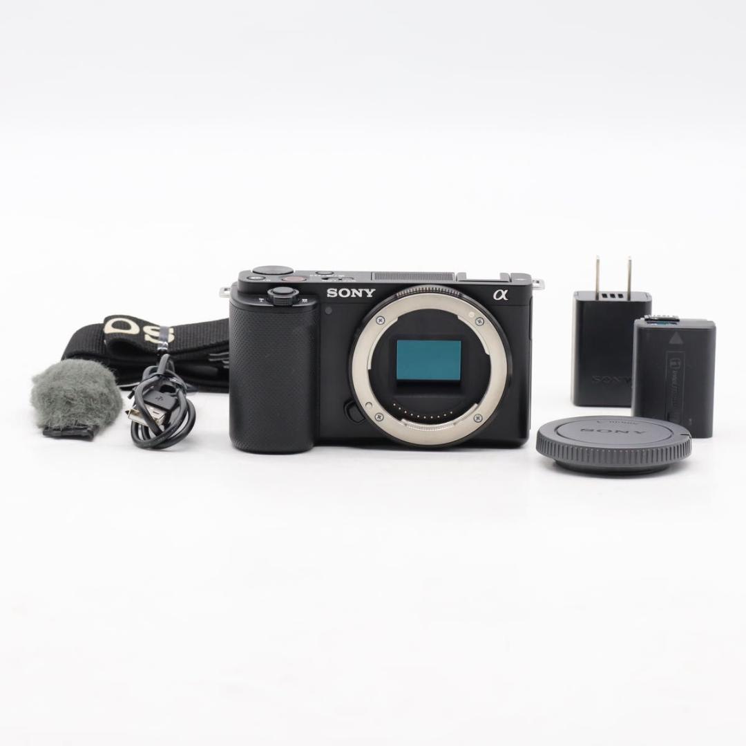 【ショット数2,995】 SONY ZV-E10 ボディ ブラック