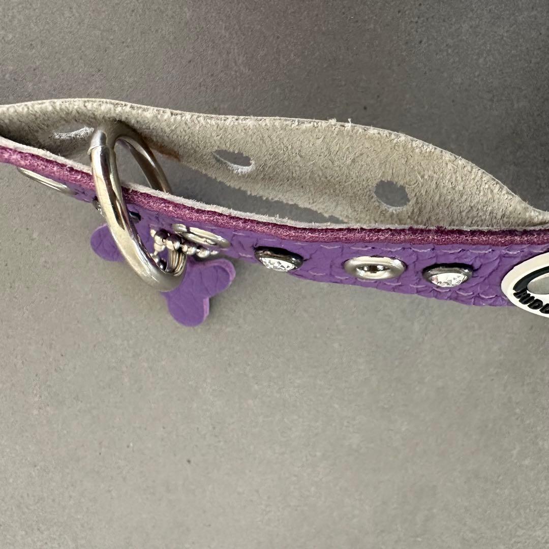 バディベルト BUDDYBELTS 3.5 紫 ハーネス
