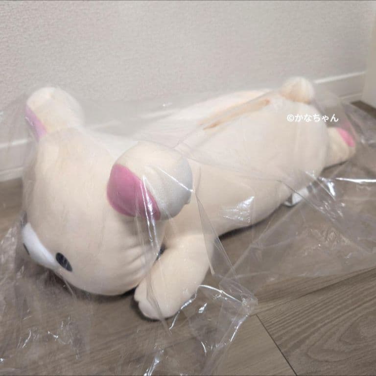 ※ あき ※