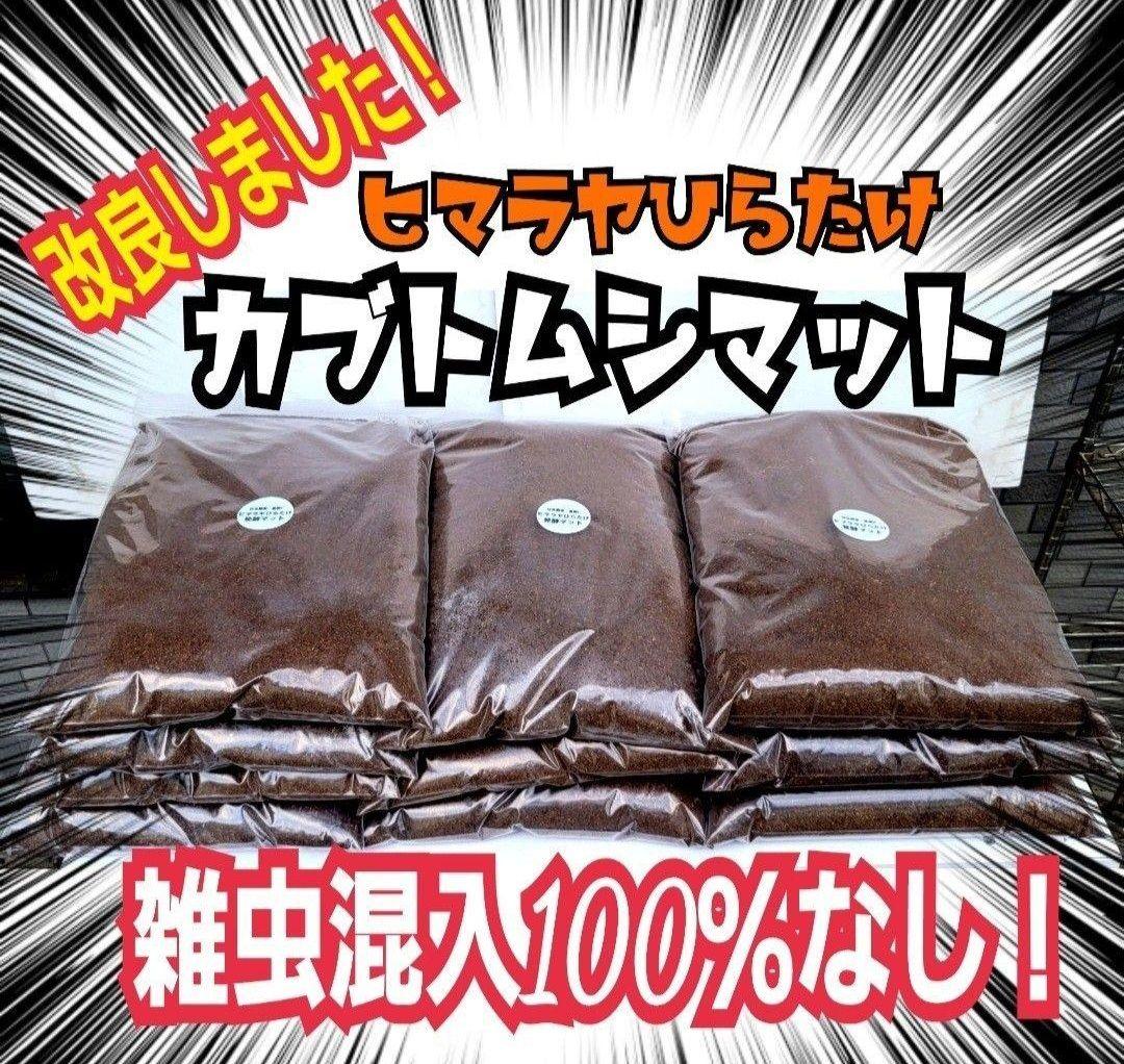 60リットル　ヒマラヤひらたけ発酵カブトムシマット　幼虫がビックサイズになります