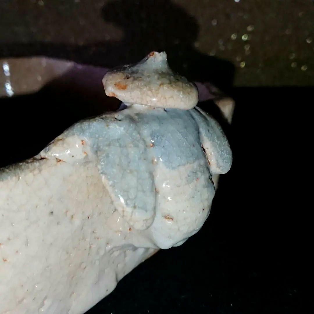 美品 志野焼(美濃焼)『絵志野 閑人取手 四方片口』骨董 アンティーク