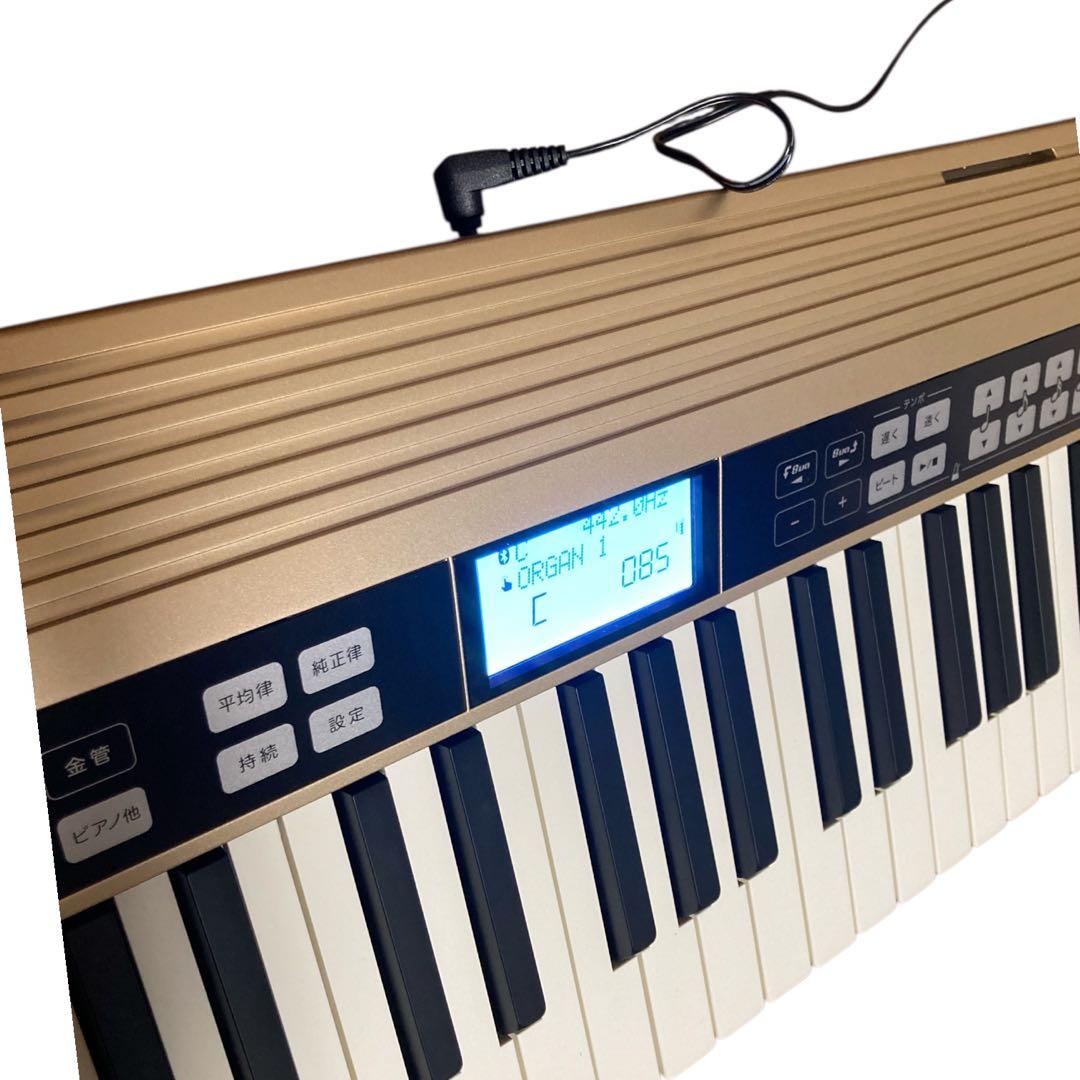 Roland JUSTY HK-100 付属品完備 美品 キーボード