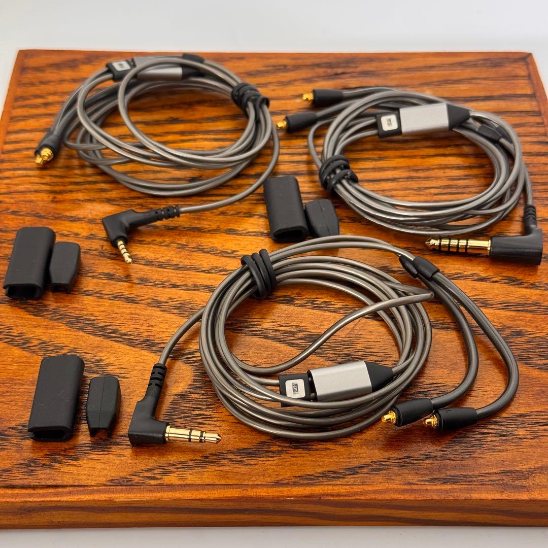 Sennheiser IE900 ゼンハイザー【付属品完備】