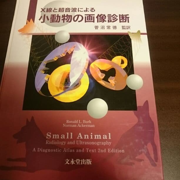 小動物の画像診断
