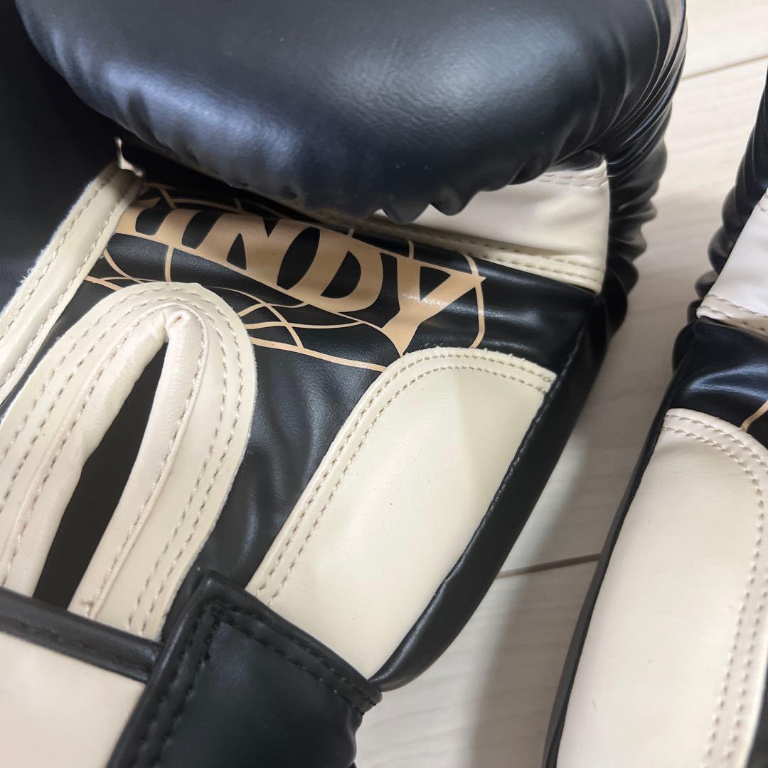 【ドドリアさん 】WINDY ボクシンググローブ ブラック