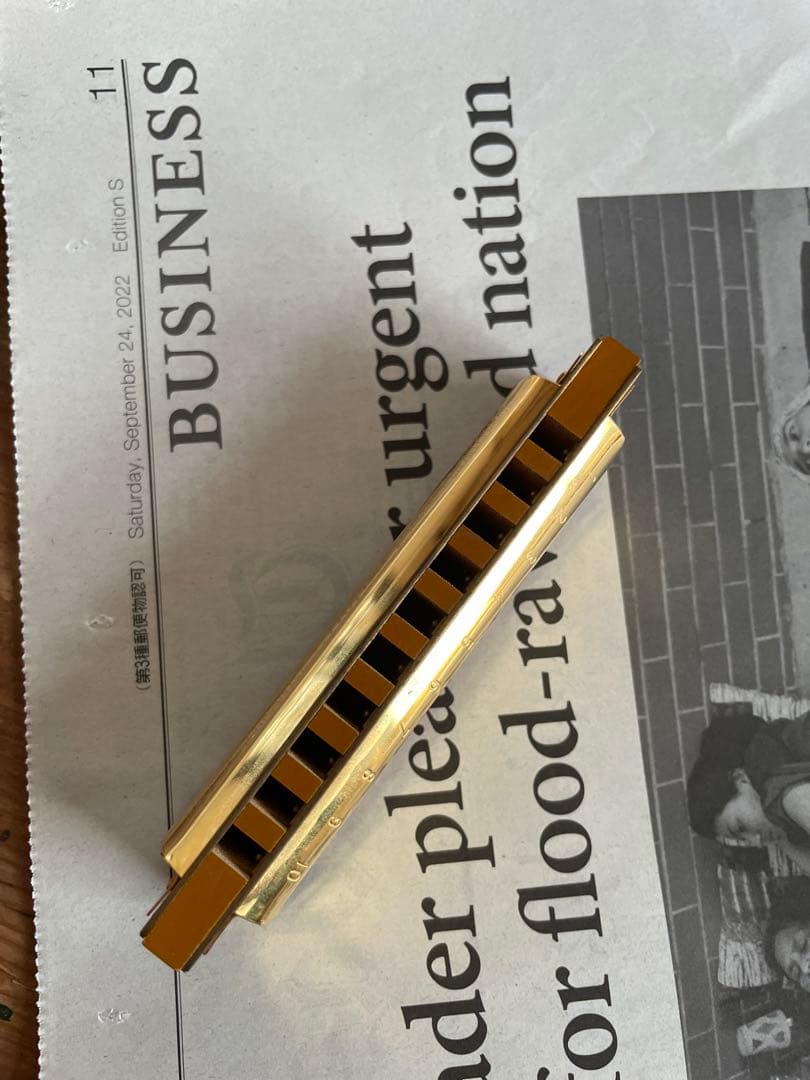 美しい　小さな　C ハーモニカ　HOHNER 箱付き