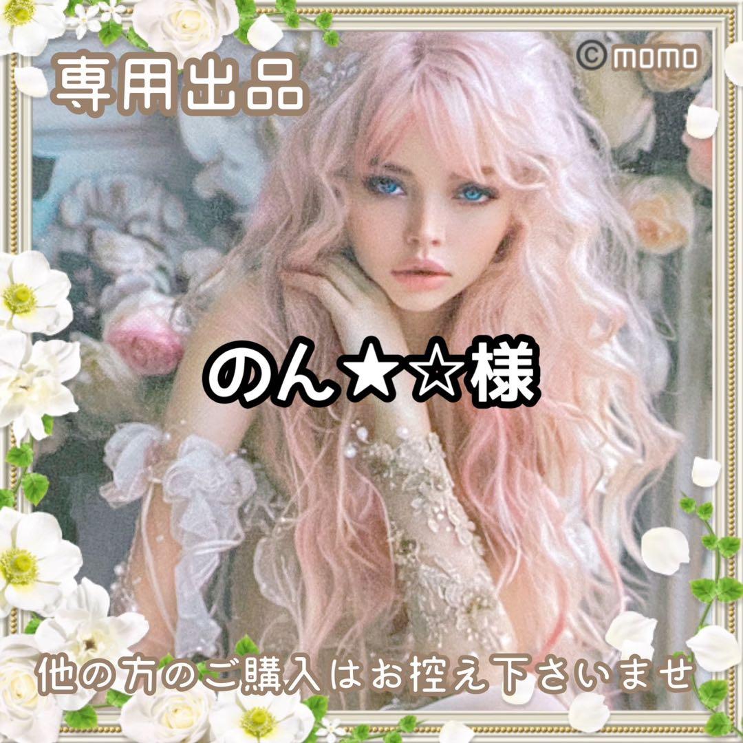 のん★☆様①【フォロリピ様】【お取り置き10日迄】