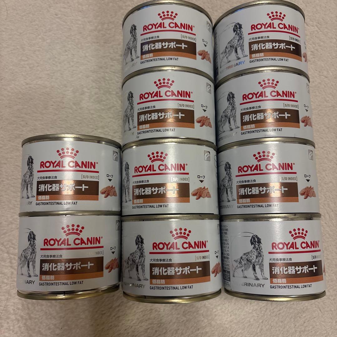  CANIN 消化器サポート ウエットフード 200g缶 10缶