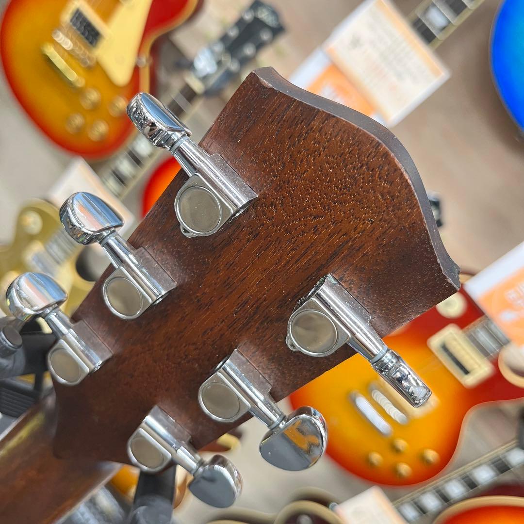 【11512】EASTMAN PCH1-GACE