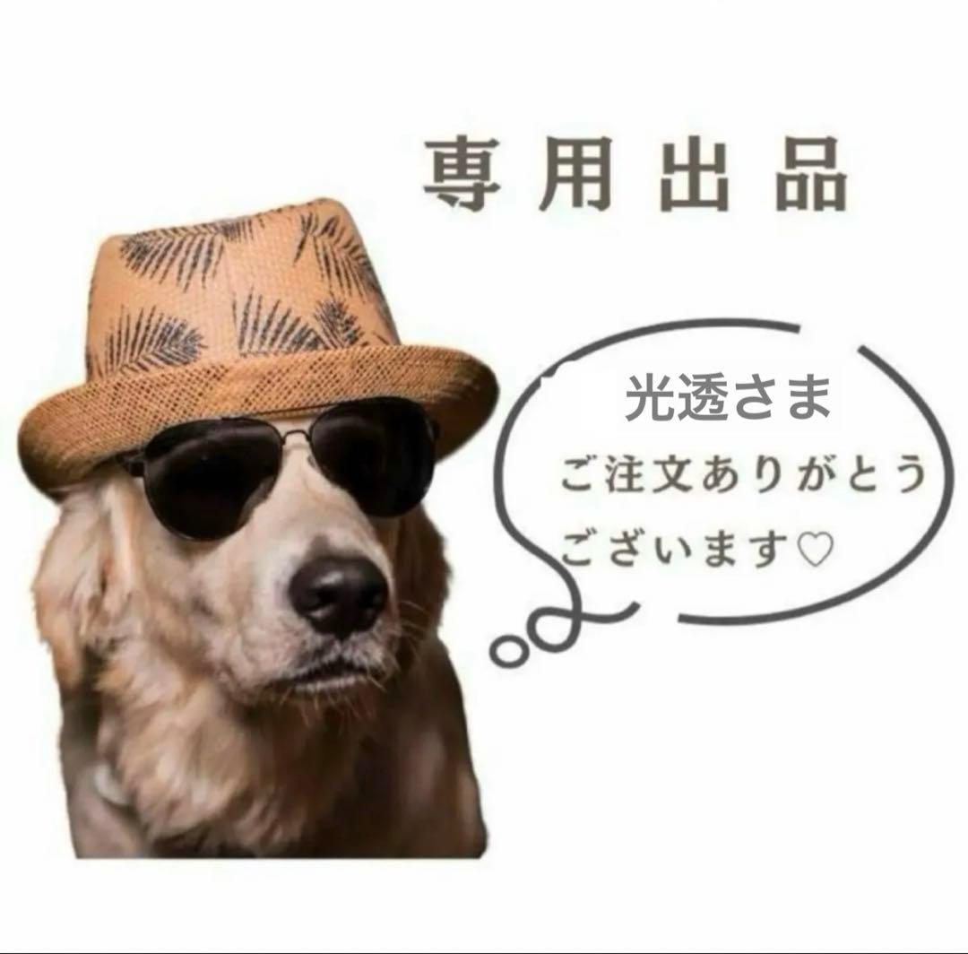 光透さま専用