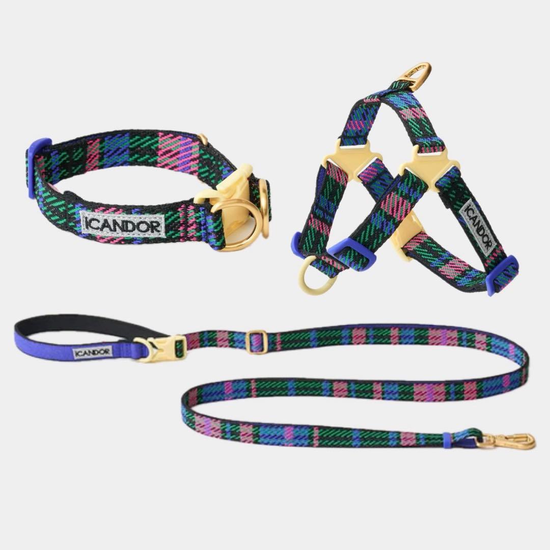 【ICANDOR】 首輪 ハーネス ショルダーリード 3点セット