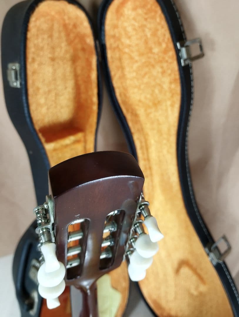 【美品】SUZUKI M-30マンドリン 8弦 ハードケース付き