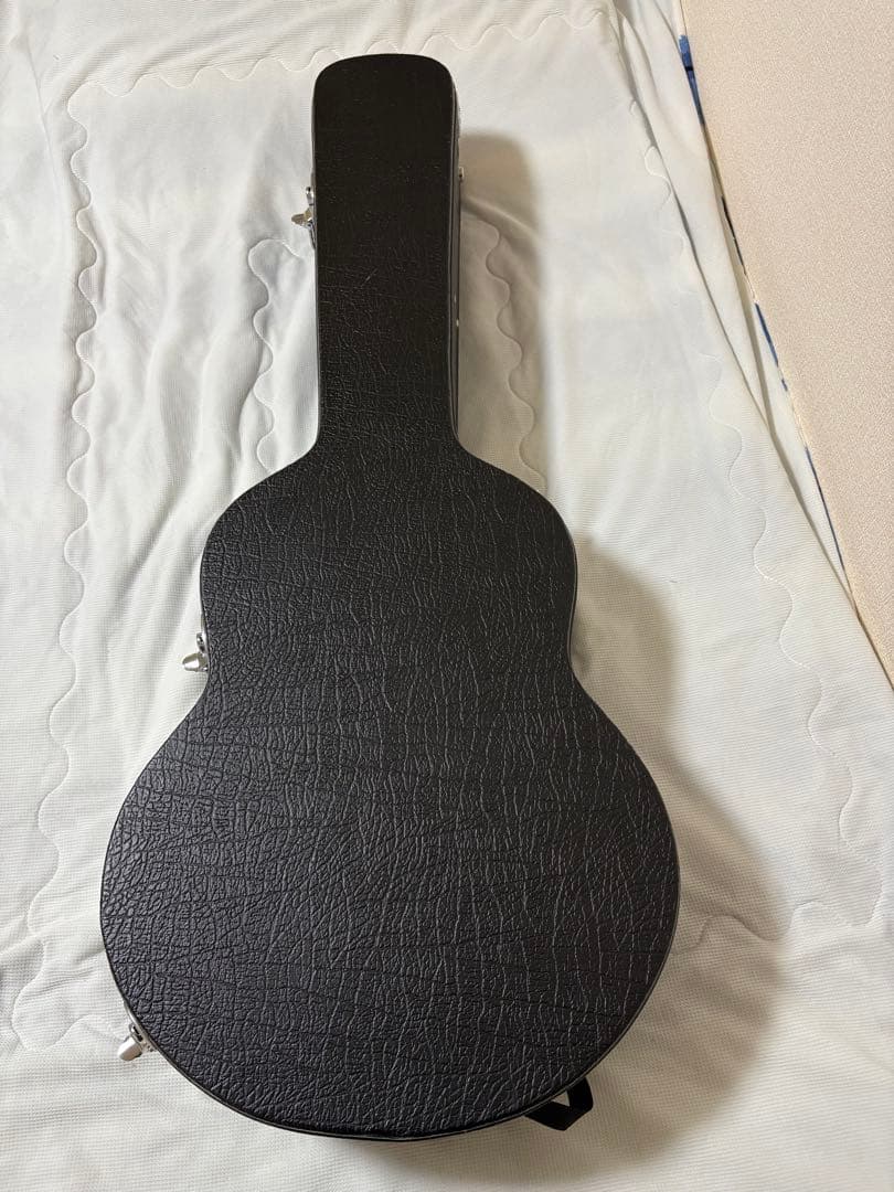 ギター Eastman AR-175CE Sunburst