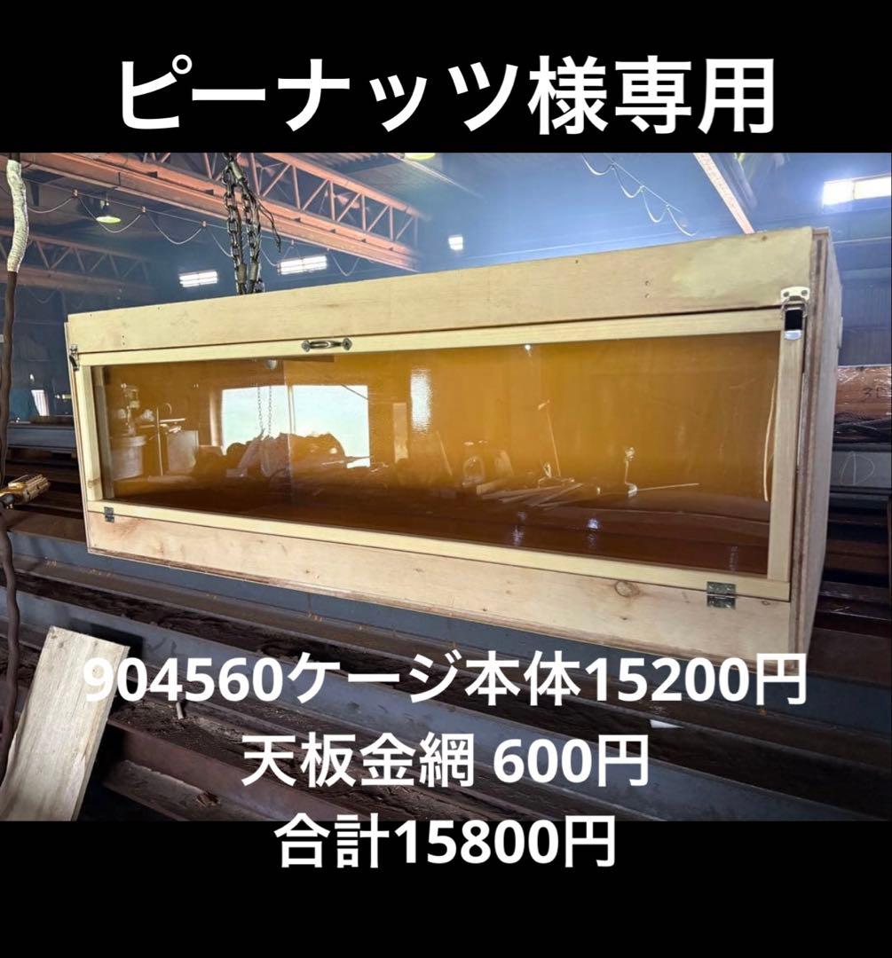 ピーナッツ　904560