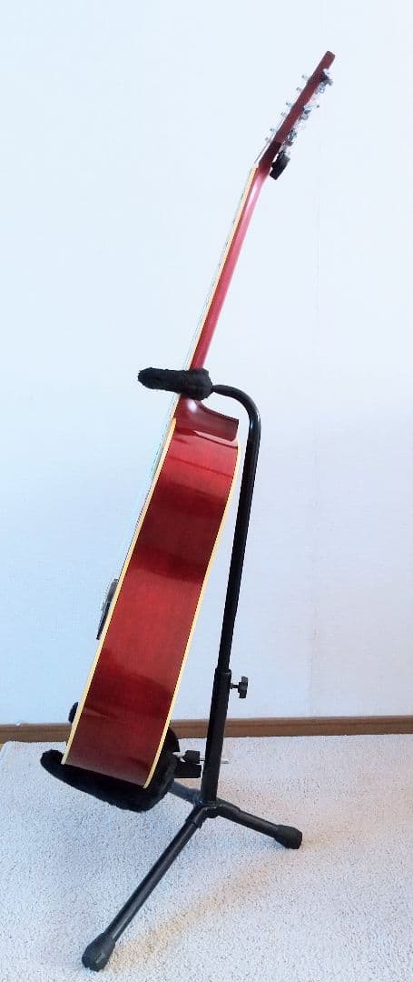 アコースティックギター Morris  WD-30