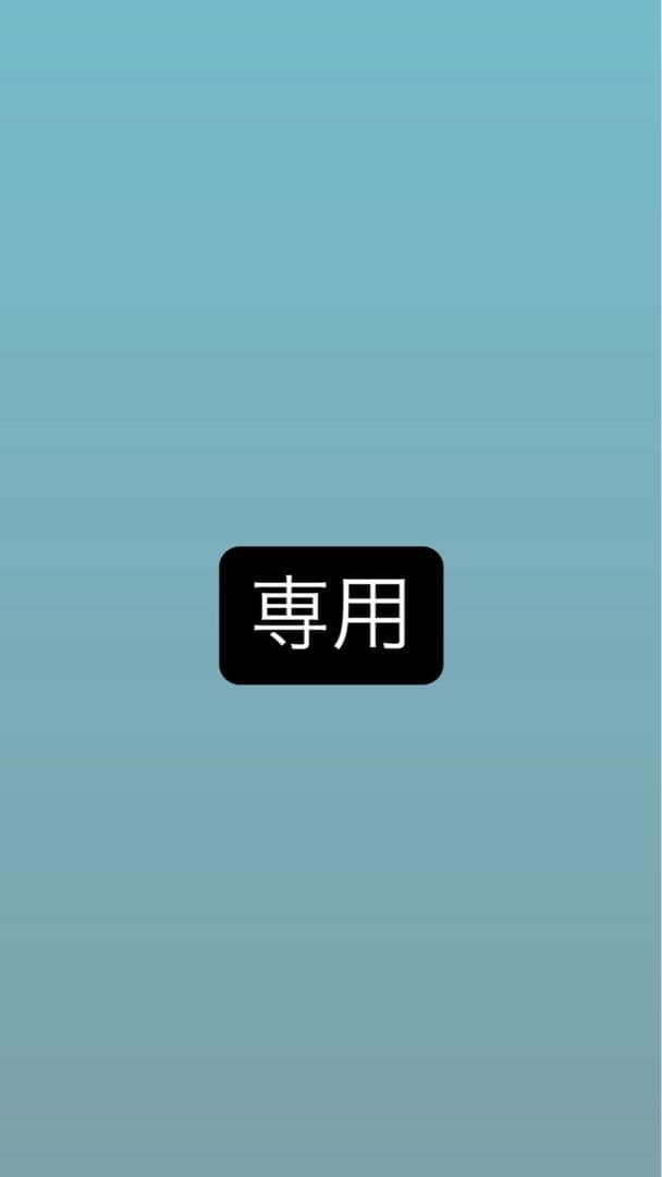 497枚の専用