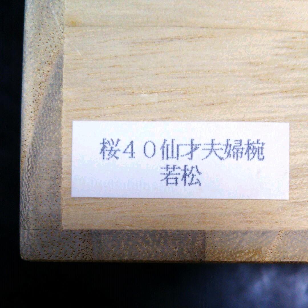 再値下げ 新品 山田平安堂 睦椀 若松 朱 黒 ペア 漆塗り 蒔絵