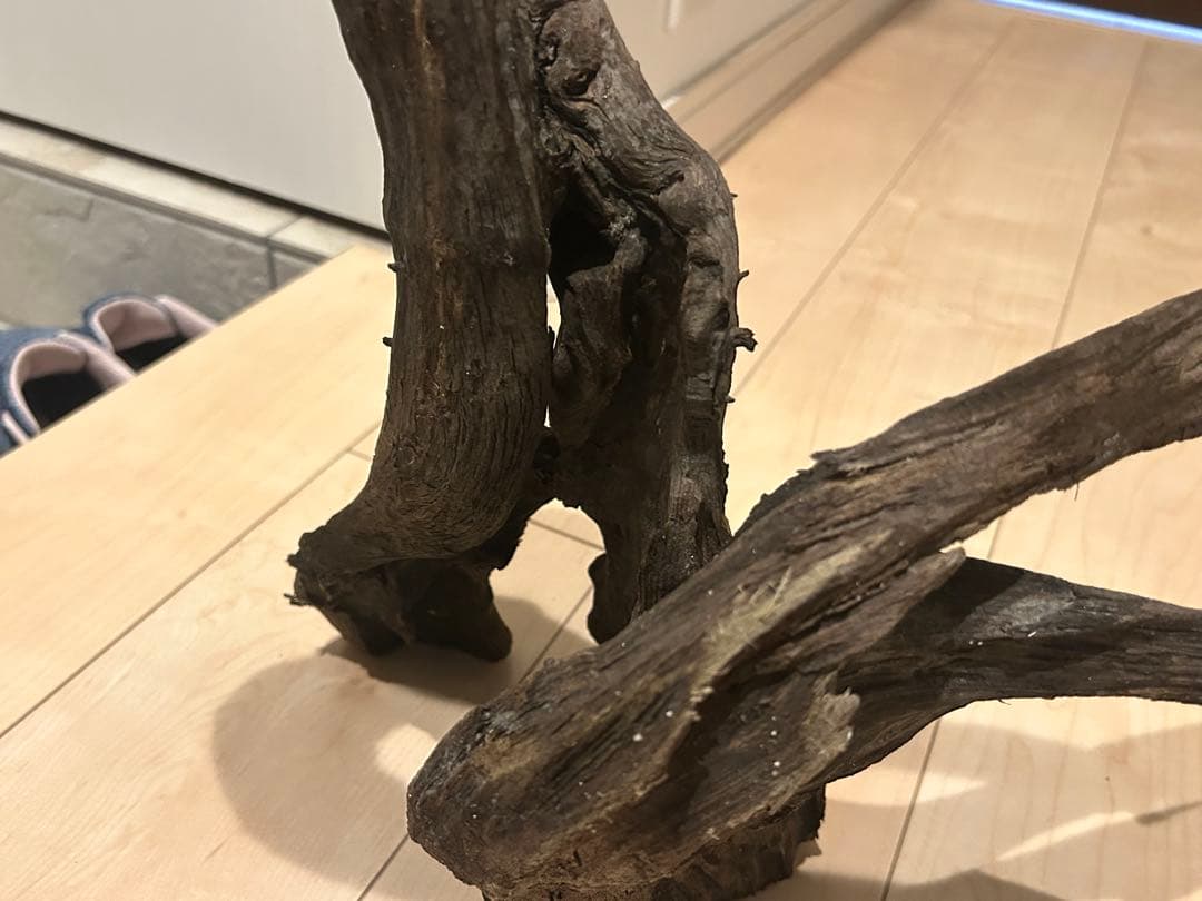 天然流木