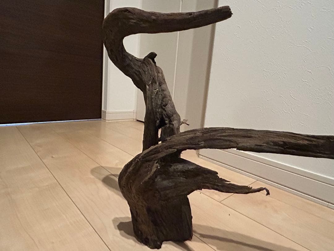 天然流木