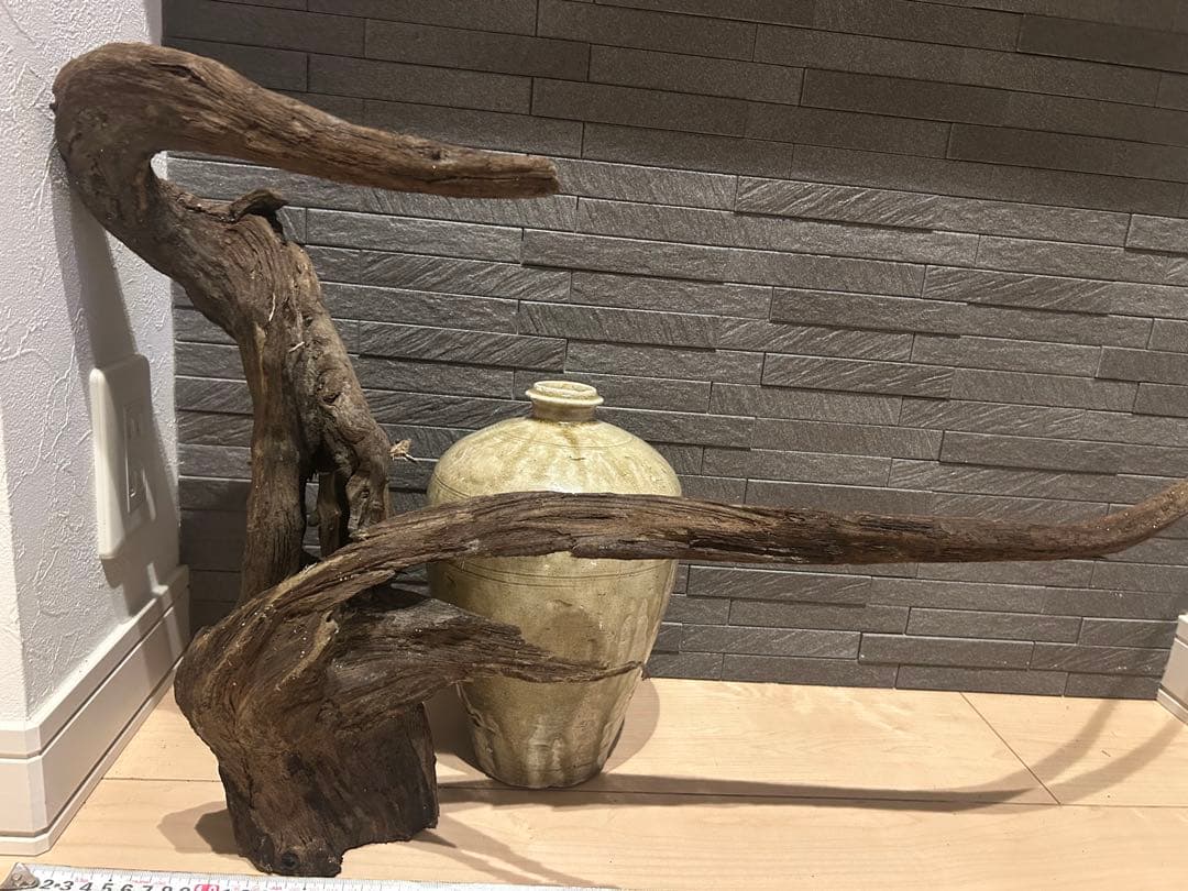 天然流木