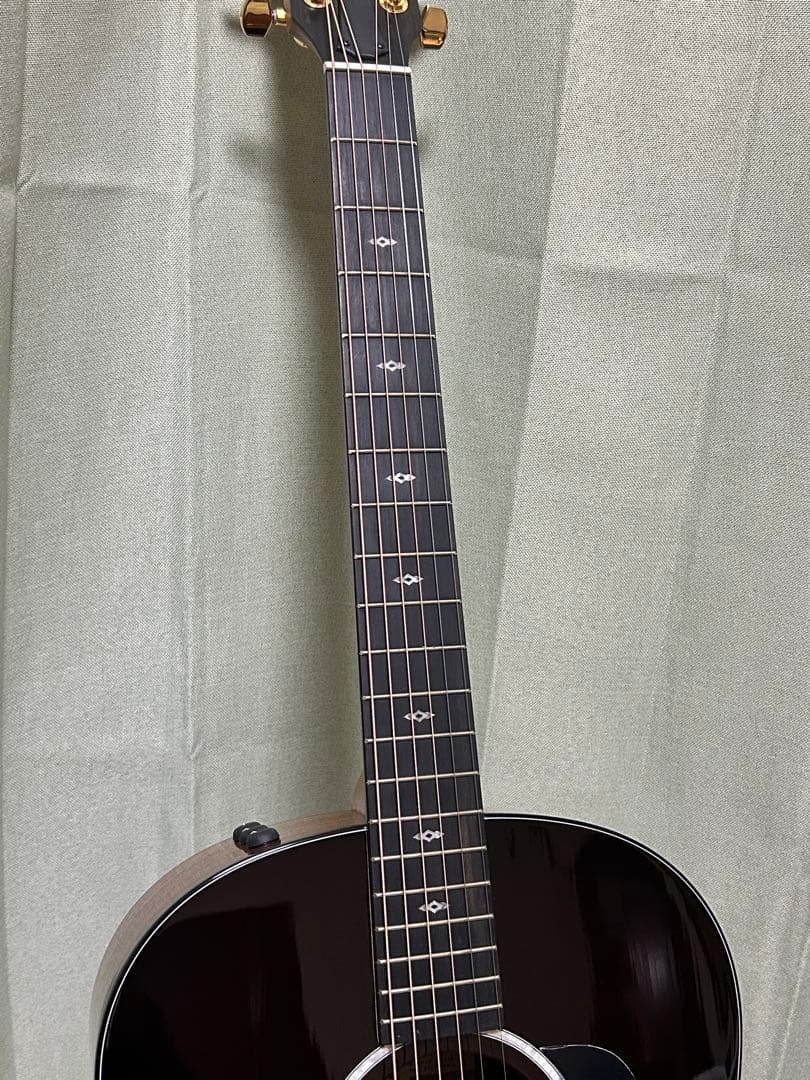 新年価格❗️Taylorエレアコ217e plus Ltd 50thアニバーサリー