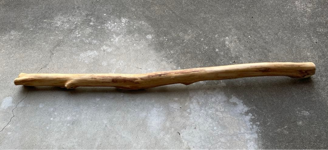 希少　樹齢150〜200年　杉枝　約143cm 鑑賞　庭　インテリア 骨董　華道